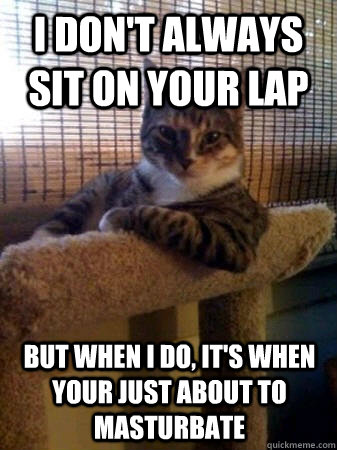 I don't always sit on your lap but when I do, it's when your just about to masturbate  The Most Interesting Cat in the World