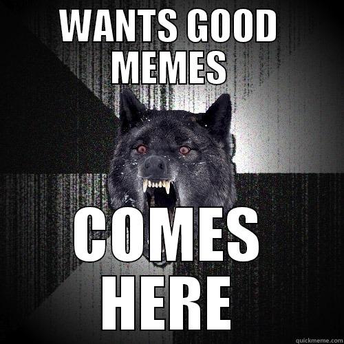 WANTS GOOD MEMES COMES HERE Insanity Wolf