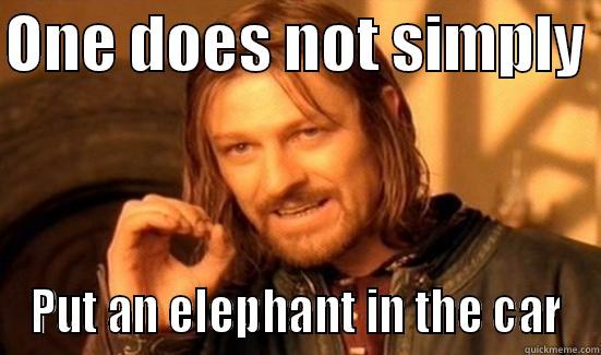 ONE DOES NOT SIMPLY  PUT AN ELEPHANT IN THE CAR Boromir