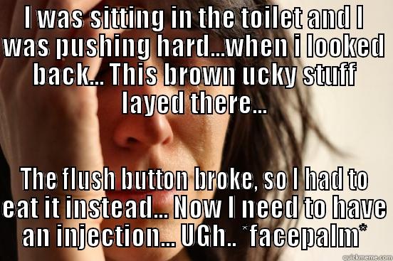 I WAS SITTING IN THE TOILET AND I WAS PUSHING HARD...WHEN I LOOKED BACK... THIS BROWN UCKY STUFF LAYED THERE... THE FLUSH BUTTON BROKE, SO I HAD TO EAT IT INSTEAD... NOW I NEED TO HAVE AN INJECTION... UGH.. *FACEPALM* First World Problems