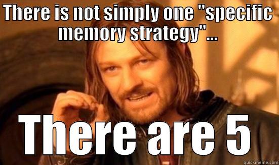 THERE IS NOT SIMPLY ONE 