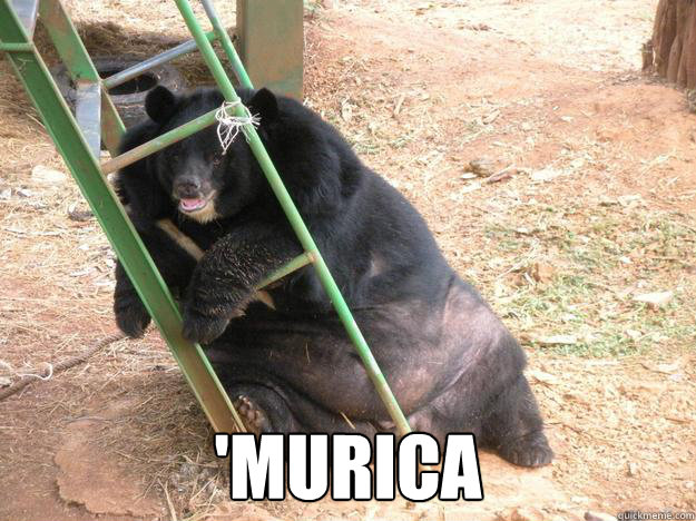 'murica  Obese Bear