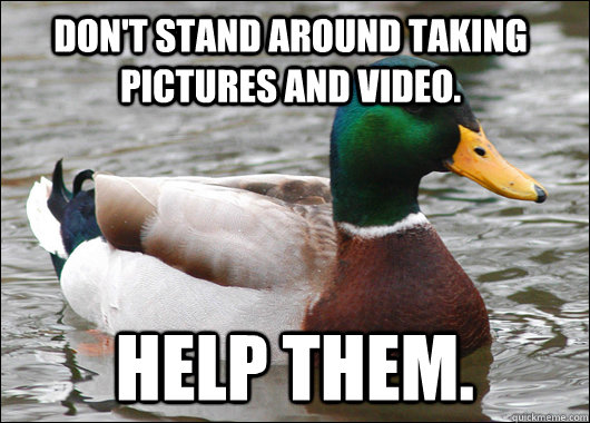 Don't stand around taking pictures and video. help them.  Actual Advice Mallard