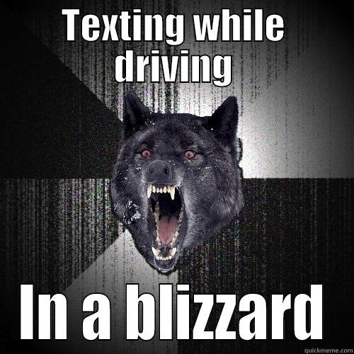 TEXTING WHILE DRIVING IN A BLIZZARD Insanity Wolf