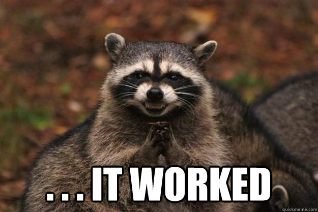  . . . It worked  Evil Plotting Raccoon