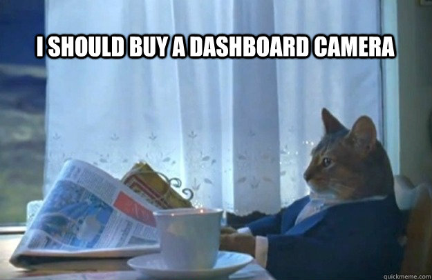 I should buy a dashboard camera  Sophisticated Cat