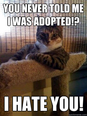 You never told me I was adopted!? I Hate You!  The Most Interesting Cat in the World