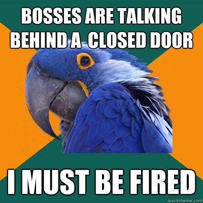 Bosses are talking behind a  closed door I MUST BE FIRED  Paranoid Parrot