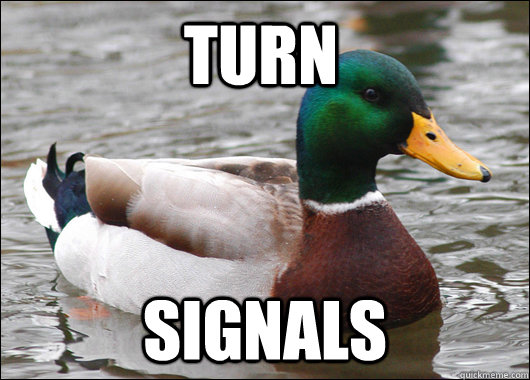 turn signals - turn signals  Actual Advice Mallard