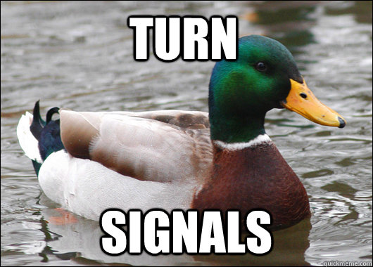 turn signals  Actual Advice Mallard
