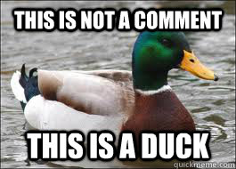 This is not a comment This is a duck  Good Advice Duck