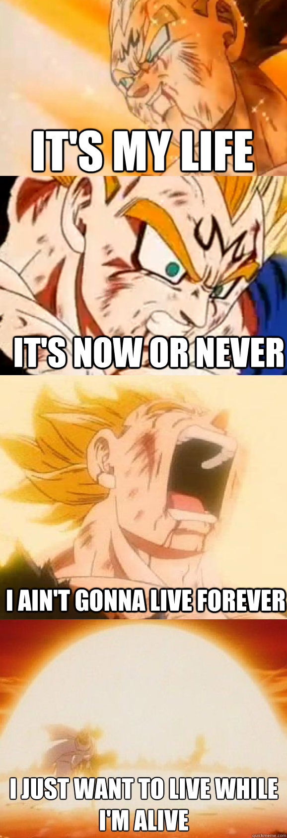 It's my life it's now or never I ain't gonna live forever I just want to live while I'm alive - It's my life it's now or never I ain't gonna live forever I just want to live while I'm alive  Vegeta sacrifice Bonjovi