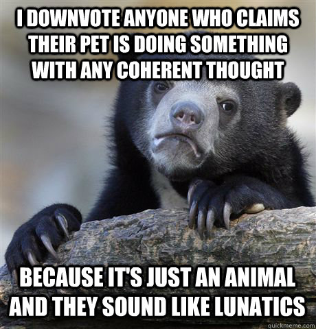 I DOWNVOTE ANYONE WHO CLAIMS THEIR PET IS DOING SOMETHING  WITH ANY COHERENT THOUGHT BECAUSE IT'S JUST AN ANIMAL AND THEY SOUND LIKE LUNATICS  Confession Bear