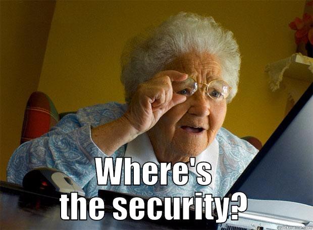  WHERE'S THE SECURITY? Grandma finds the Internet
