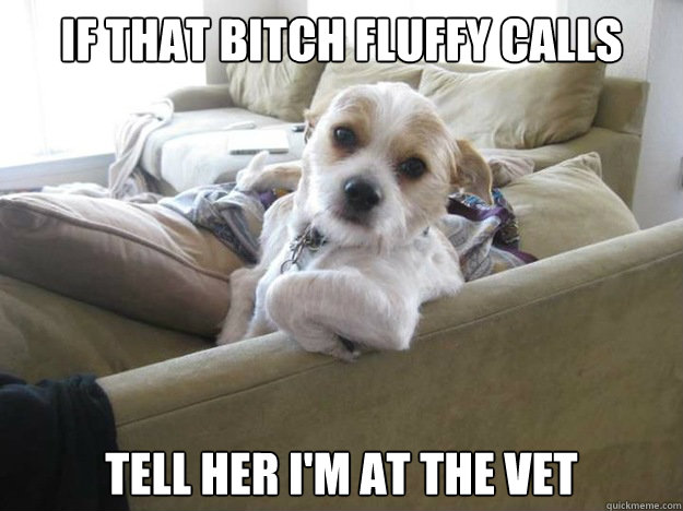 If that bitch Fluffy calls tell her I'm at the vet  
