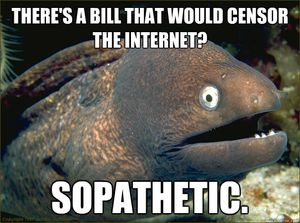 There's a bill that would censor the internet? SOPAthetic.  Bad Joke Eel