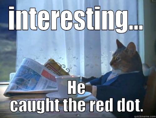 Hiring cat - INTERESTING... HE CAUGHT THE RED DOT. The One Percent Cat