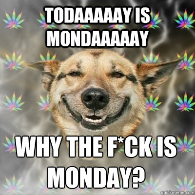 Todaaaaay is Mondaaaaay Why the f*ck is monday?  Stoner Dog