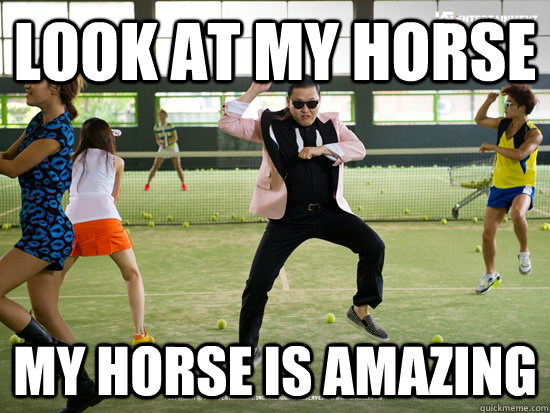 look at my horse  my horse is amazing - look at my horse  my horse is amazing  Misc
