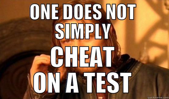 ONE DOES NOT SIMPLY CHEAT ON A TEST Boromir