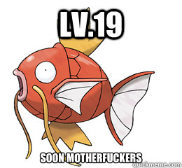 LV.19 soon motherfuckers - LV.19 soon motherfuckers  Tormented Magikarp