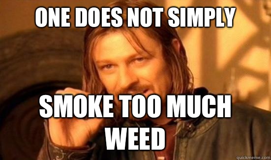 One Does Not Simply Smoke too much weed  Boromir