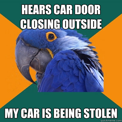 Hears car door closing outside my car is being stolen  Paranoid Parrot
