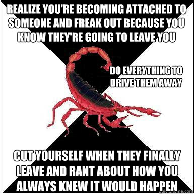 Realize you're becoming attached to someone and freak out because you know they're going to leave you Cut yourself when they finally leave and rant about how you always knew it would happen Do everything to drive them away  Borderline scorpion