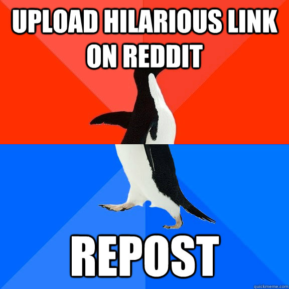 upload hilarious link on reddit repost  Socially Awesome Awkward Penguin