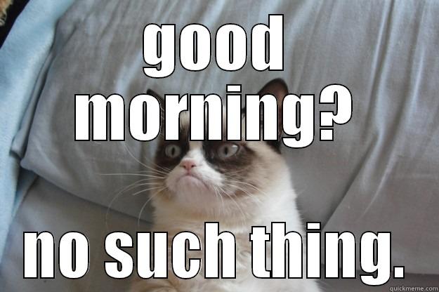 GOOD MORNING? NO SUCH THING. Grumpy Cat