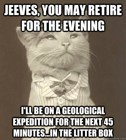 Jeeves, You may Retire for the evening I'll be on a geological expedition for the next 45 minutes...in the litter box  Aristocat