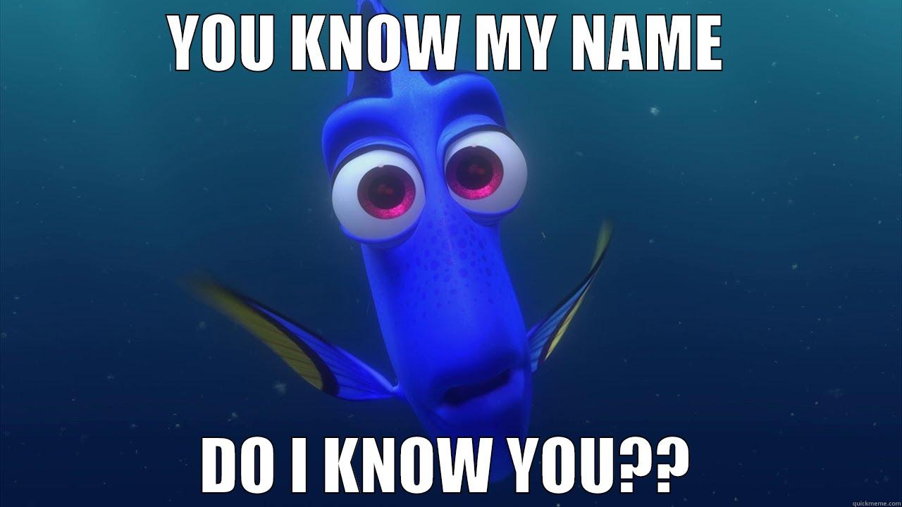 YOU KNOW MY NAME DO I KNOW YOU?? Misc
