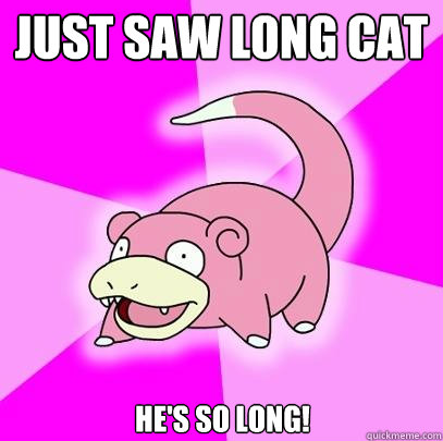 Just saw long cat
 he's so long!  Slowpoke