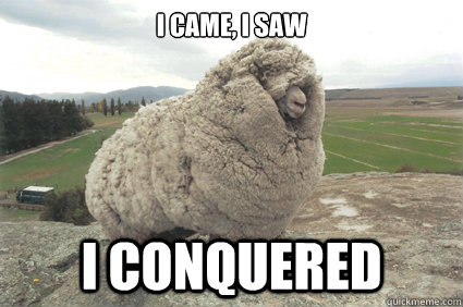 I came, I saw I conquered - I came, I saw I conquered  Shrek the Sheep