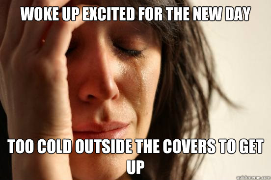 Woke up excited for the new day Too cold outside the covers to get up  First World Problems