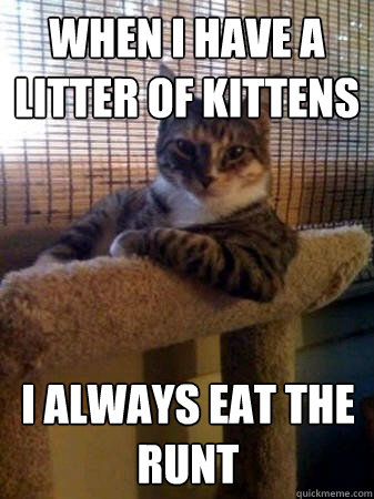 When i have a litter of kittens I always eat the runt  The Most Interesting Cat in the World