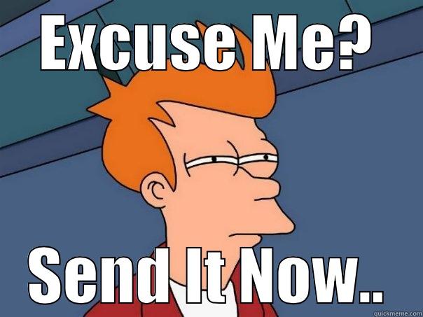 EXCUSE ME? SEND IT NOW.. Futurama Fry