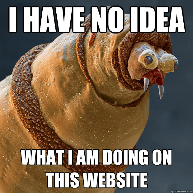 I have no idea what I am doing on this website  Derp larva