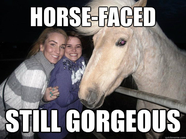Horse-Faced still Gorgeous  Ridiculously Photogenic Horse