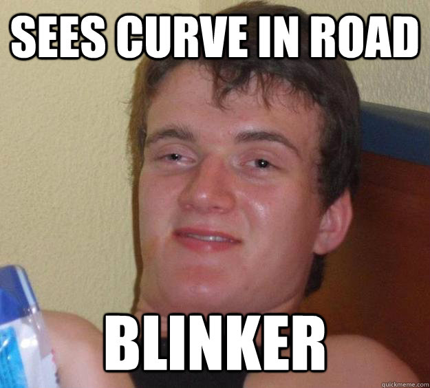 sees curve in road Blinker  10 Guy