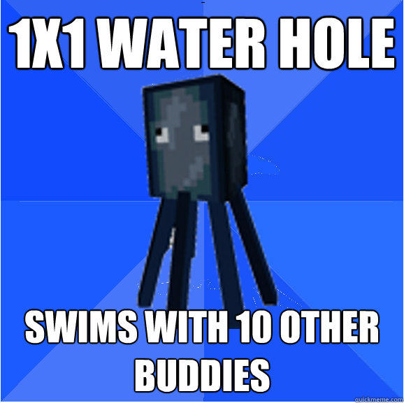1x1 Water Hole Swims with 10 other buddies  Socially Awkward Squid