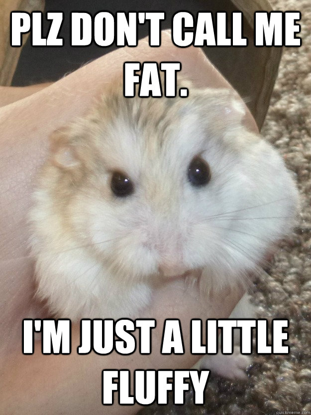 Plz don't call me fat. I'm just a little fluffy  