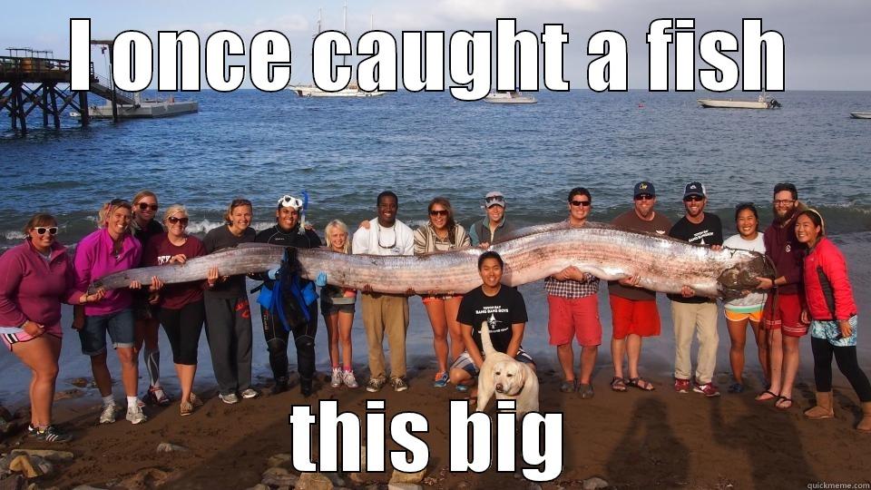 Pajama Man's big fish meme - I ONCE CAUGHT A FISH THIS BIG Misc