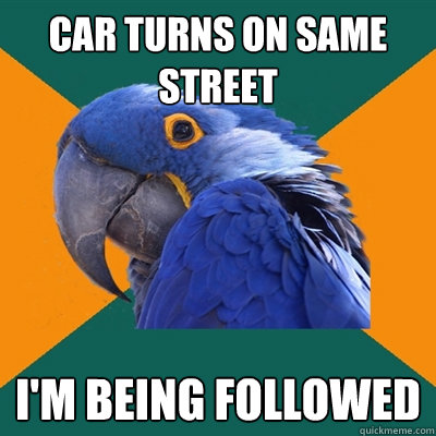 car turns on same street i'm being followed  Paranoid Parrot