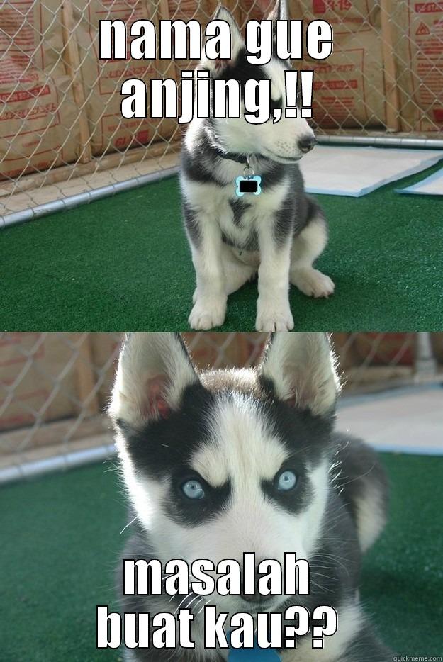 NAMA GUE ANJING,!! MASALAH BUAT KAU?? Insanity puppy