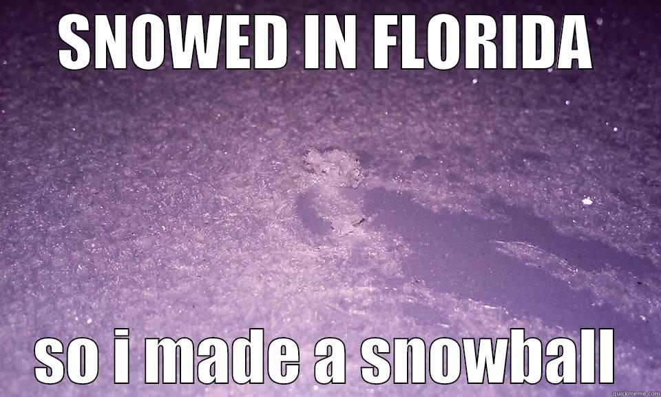 SNOWED IN FLORIDA SO I MADE A SNOWBALL Misc
