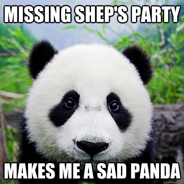 Missing Shep's Party Makes me a sad panda  sad party panda