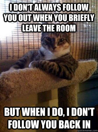 I don't always follow you out when you briefly leave the room but when I do, I don't follow you back in  The Most Interesting Cat in the World