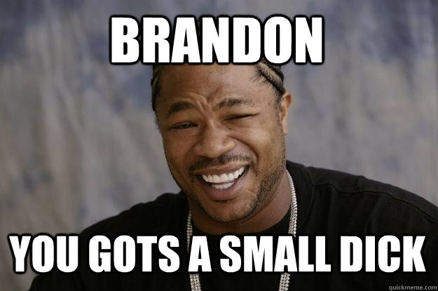 Brandon You gots a small DICK  Xzibit meme