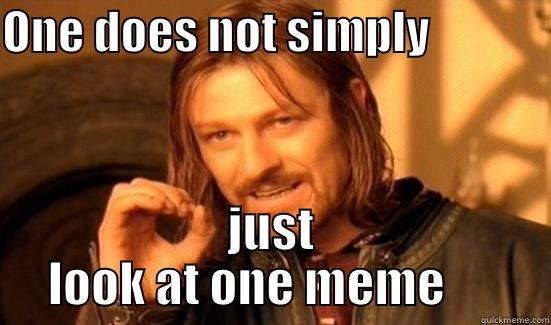 ONE DOES NOT SIMPLY              JUST LOOK AT ONE MEME      Boromir